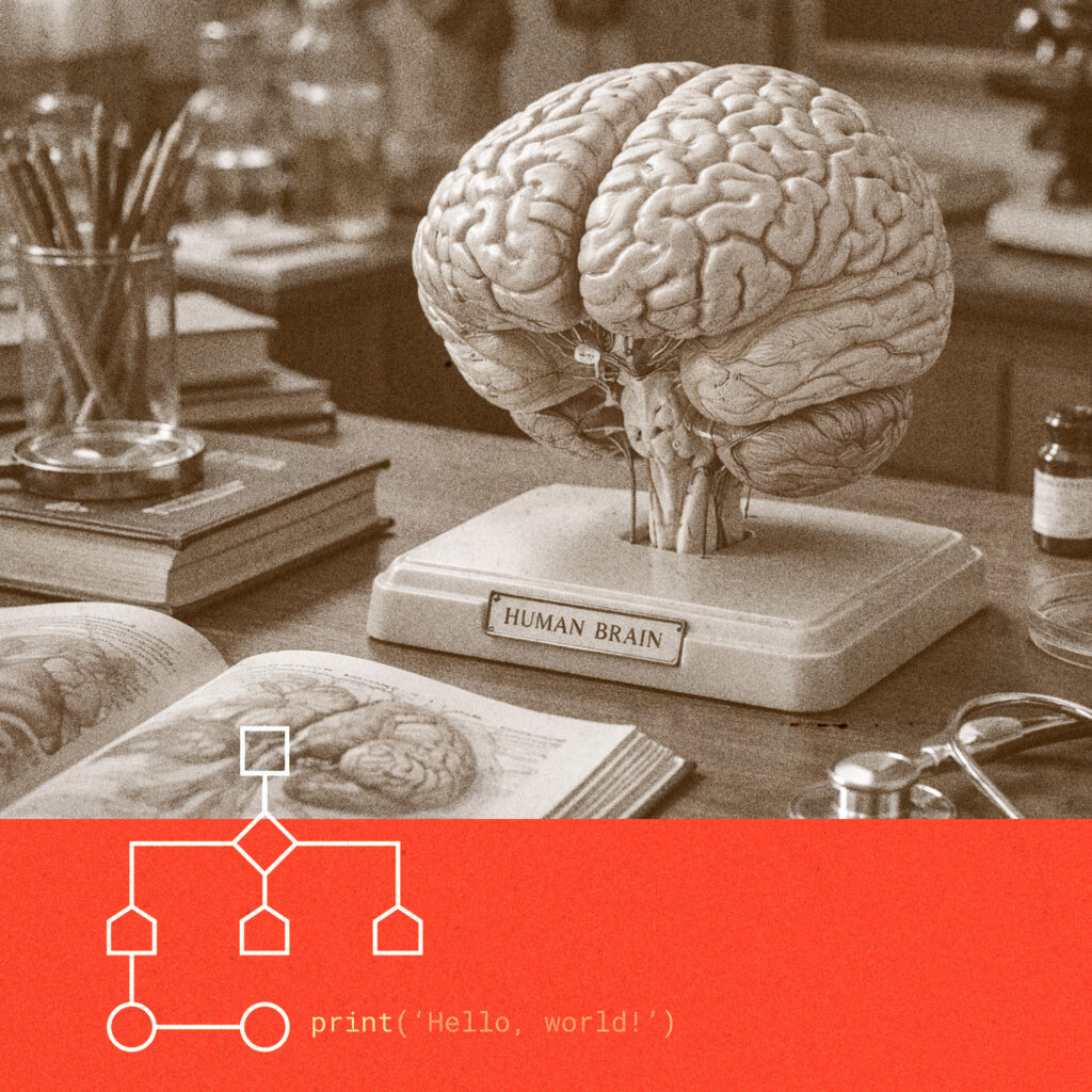 brain on a stand on a desk